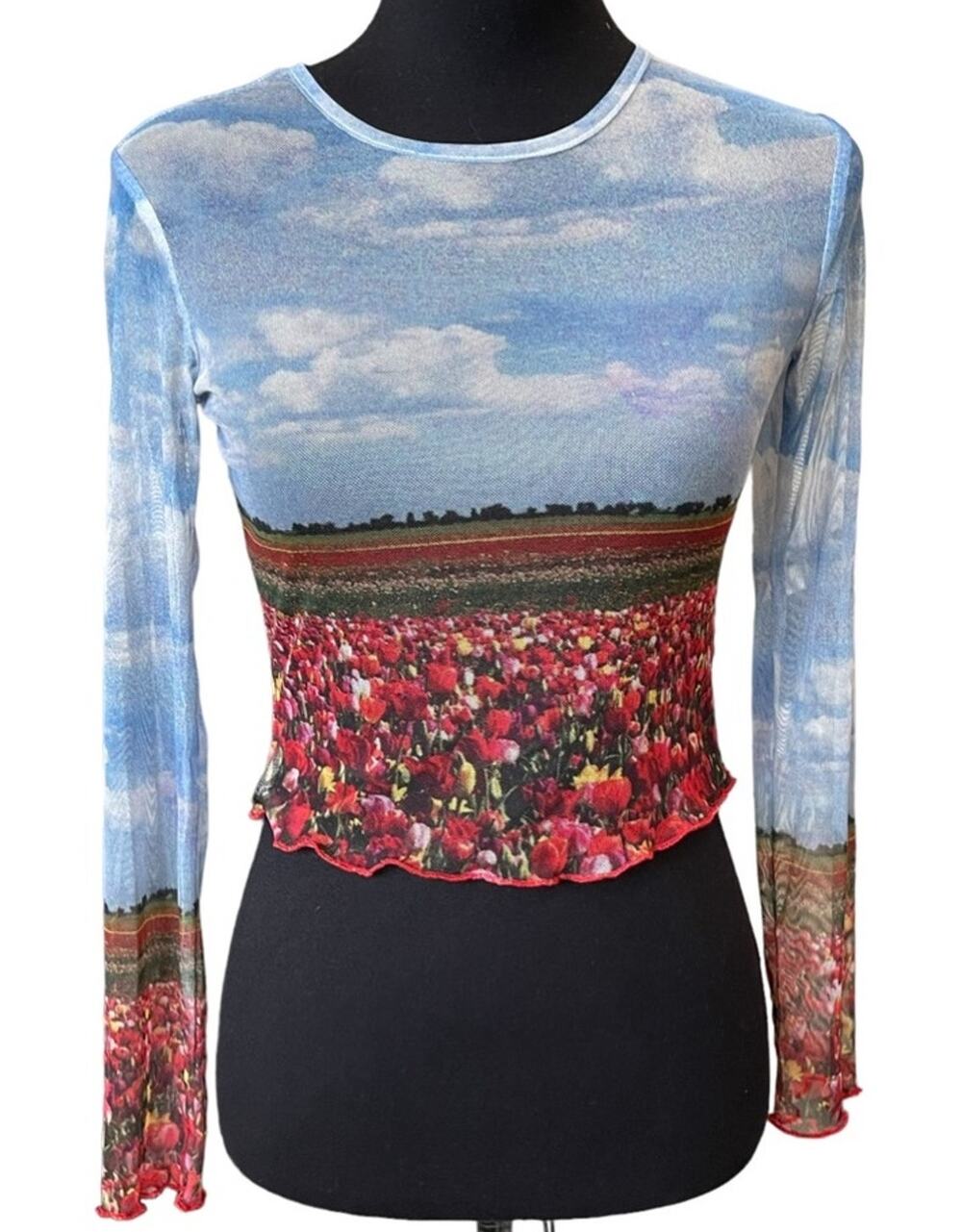 New ~ VINTAGE SUPPLY ~  90s  / Y2K Flower Field Print Sheer Top 4 Ret $45